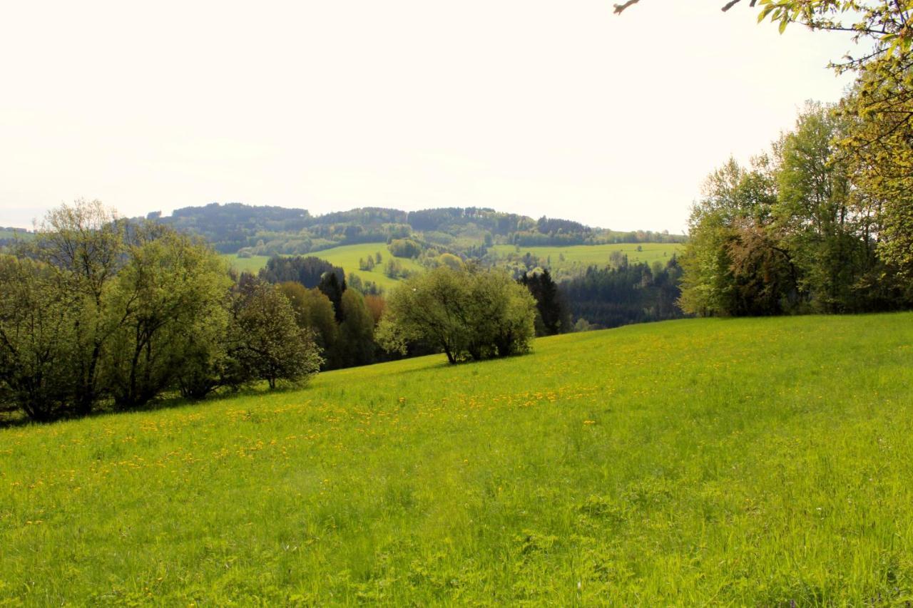Penzion Ve Stodole Zlata Olesnice  Exterior foto