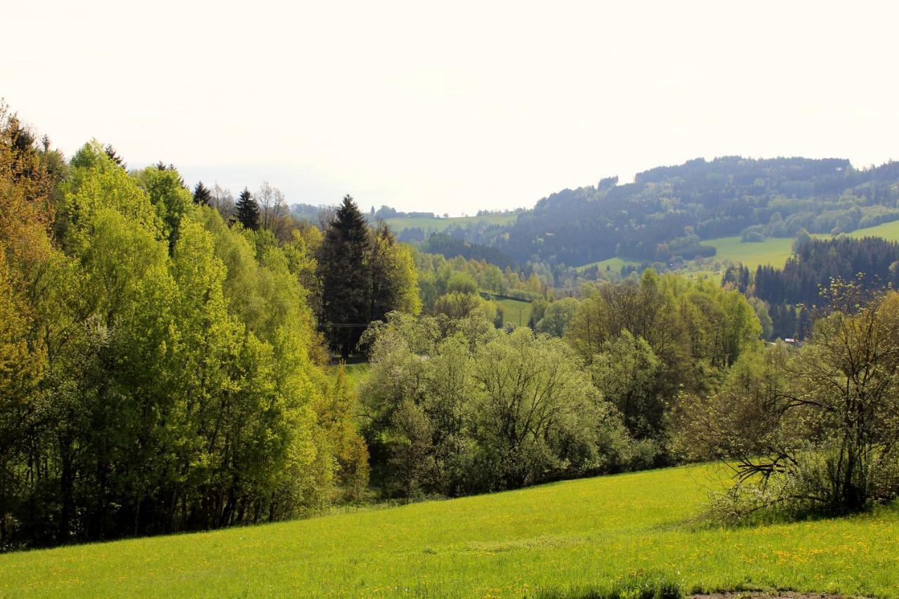 Penzion Ve Stodole Zlata Olesnice  Exterior foto